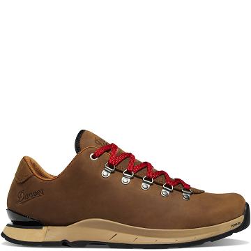 Men's Danner Mountain Overlook Hiking Shoes Brown | AU4271YU