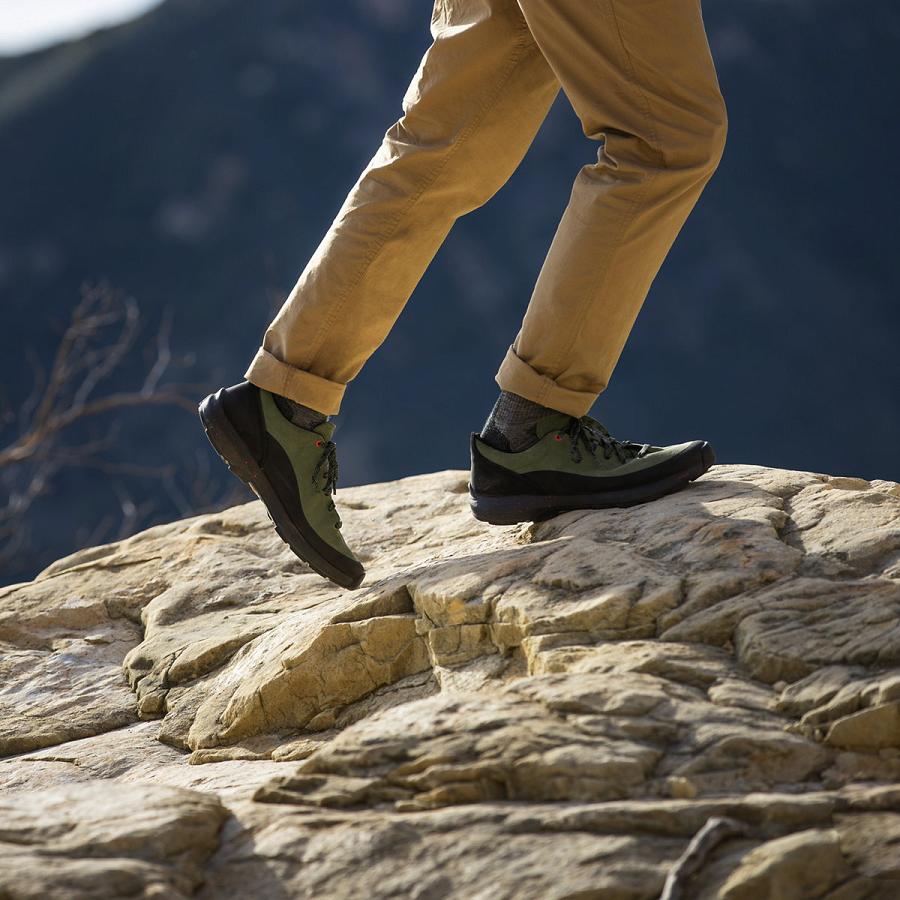 Men's Danner Caprine Low Suede Hiking Shoes Olive | AU4272TV