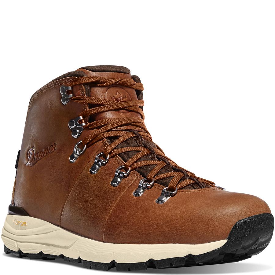 Men's Danner Mountain 600 4.5