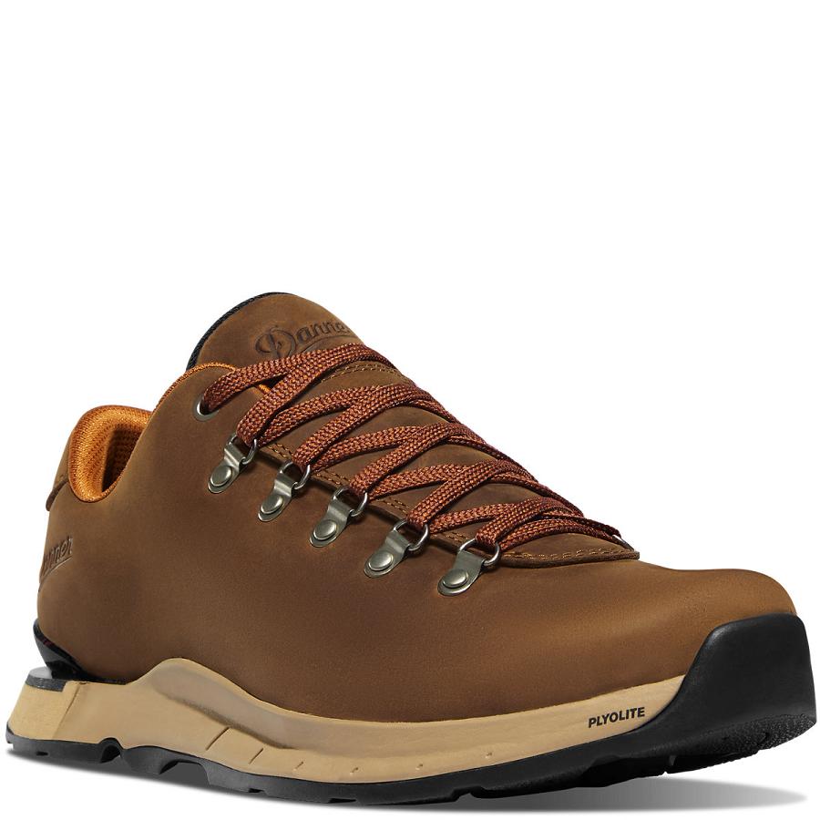 Men's Danner Mountain Overlook Shoes Brown | AU4370AP