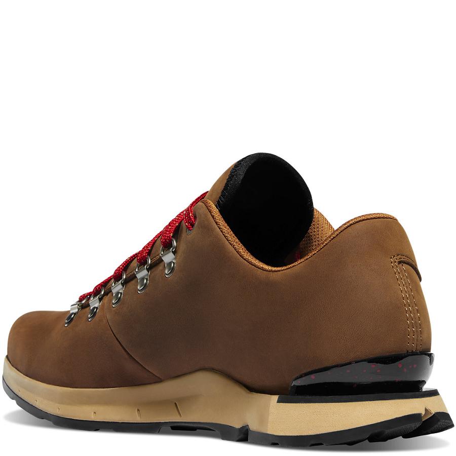 Men's Danner Mountain Overlook Shoes Brown | AU4370AP