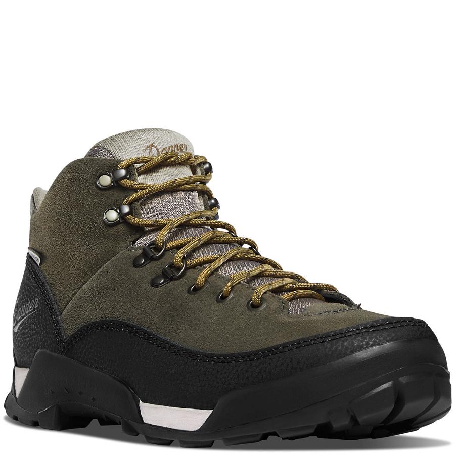 Men's Danner Panorama 6