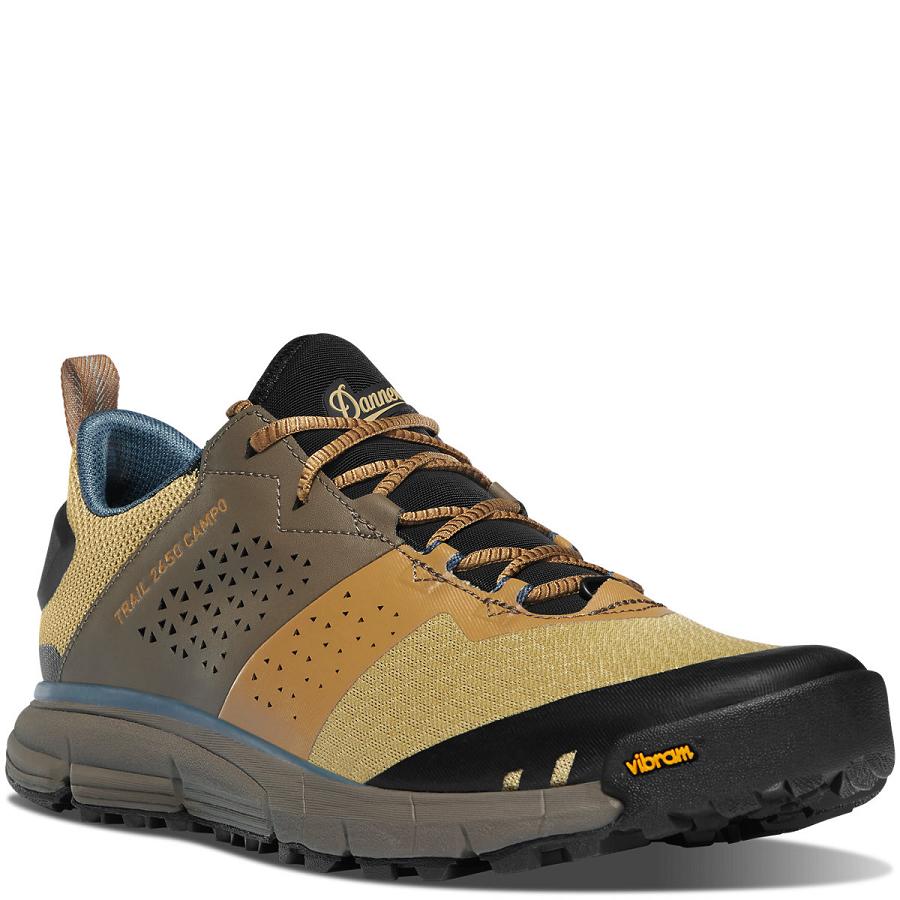 Men's Danner Trail 2650 Campo Shoes Brown / Blue | AU4362SO