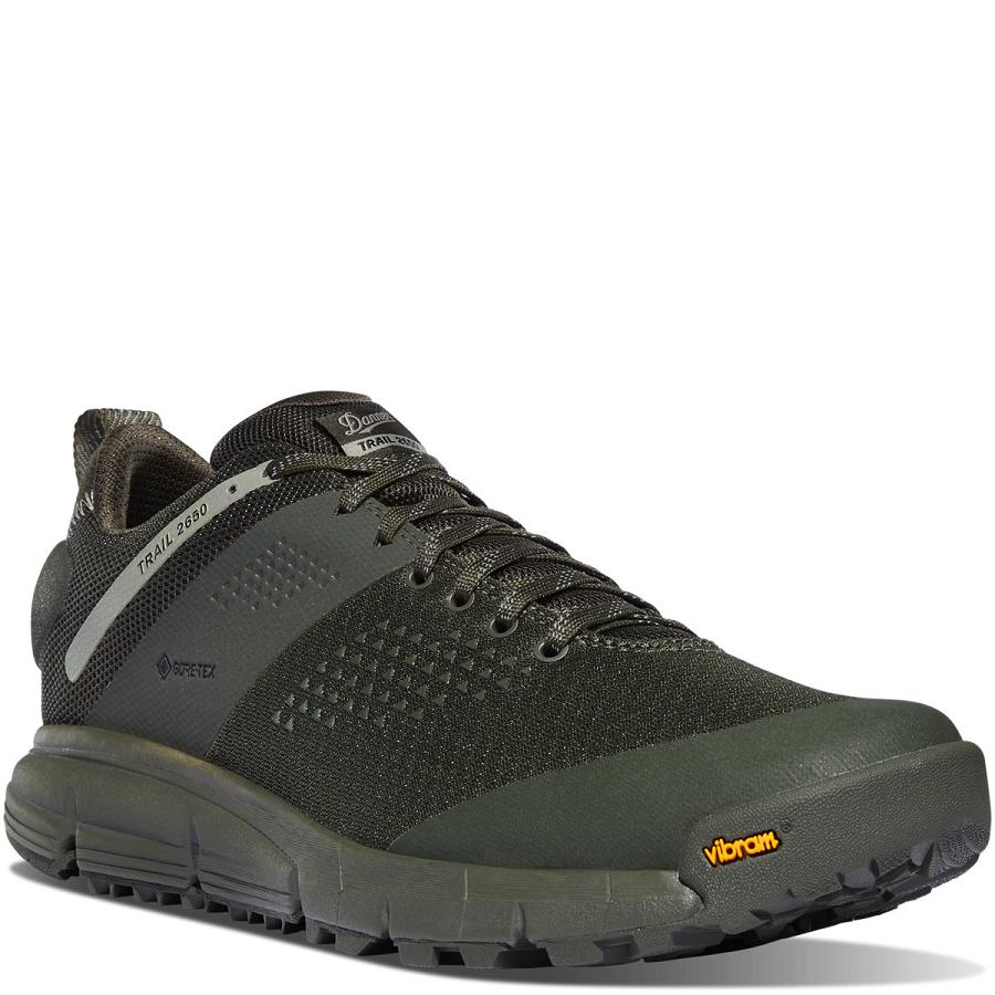 Men's Danner Trail 2650 Mesh GTX Shoes Grey | AU4372OR