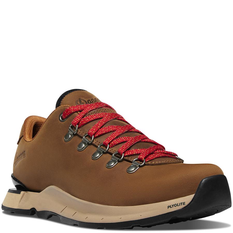 Women's Danner Mountain Overlook Hiking Shoes Brown | AU4678GL