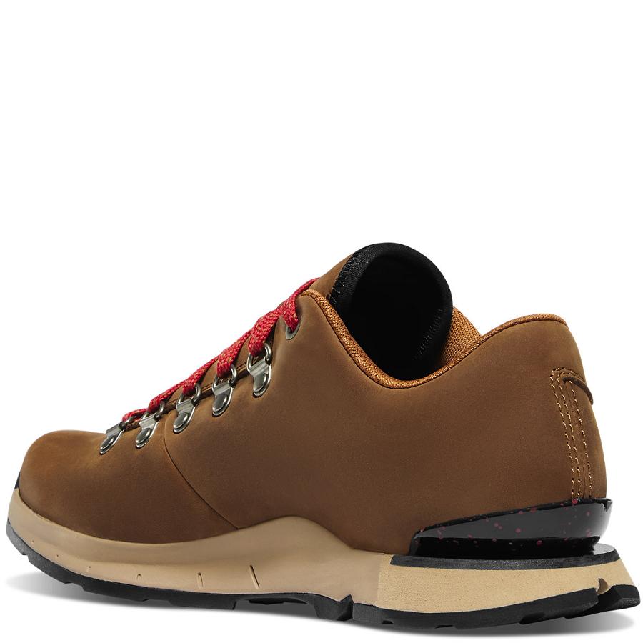 Women's Danner Mountain Overlook Shoes Brown | AU4698XF