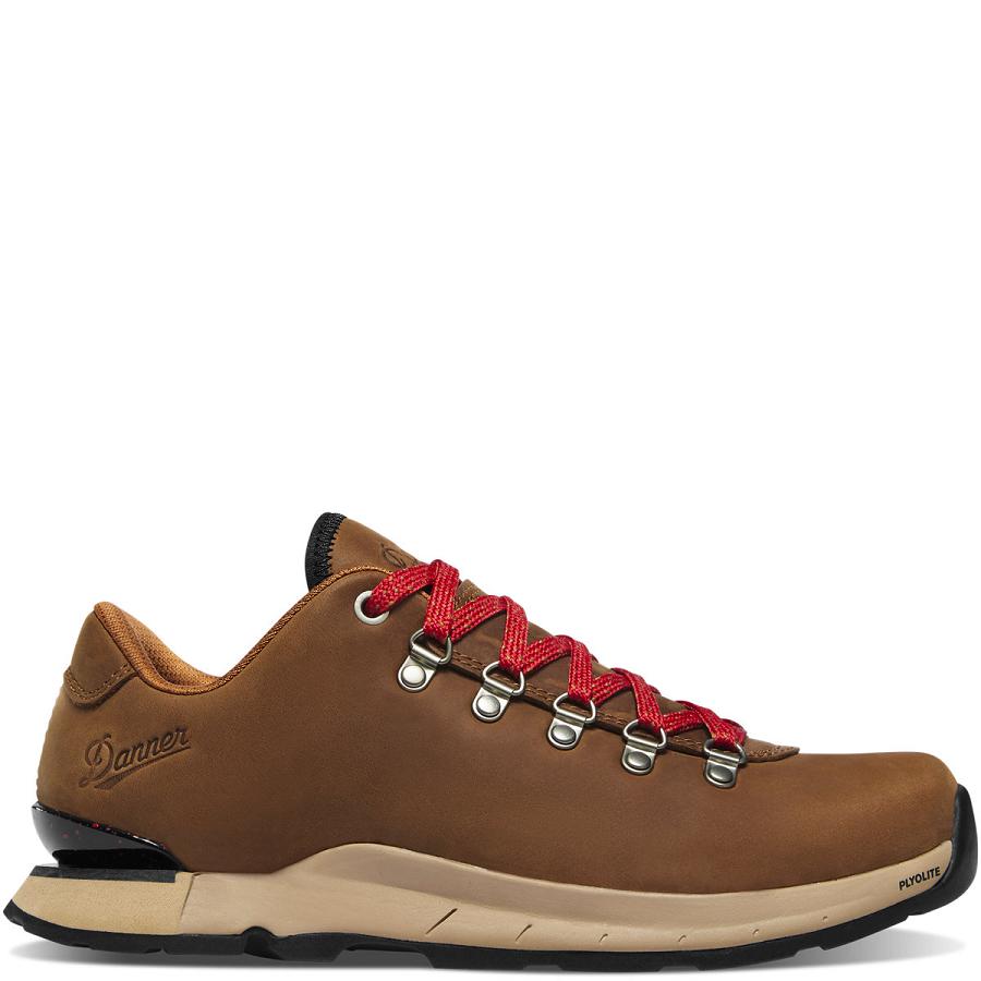 Women\'s Danner Mountain Overlook Shoes Brown | AU4698XF