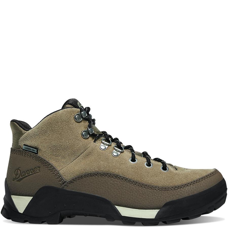 Women\'s Danner Panorama 6\