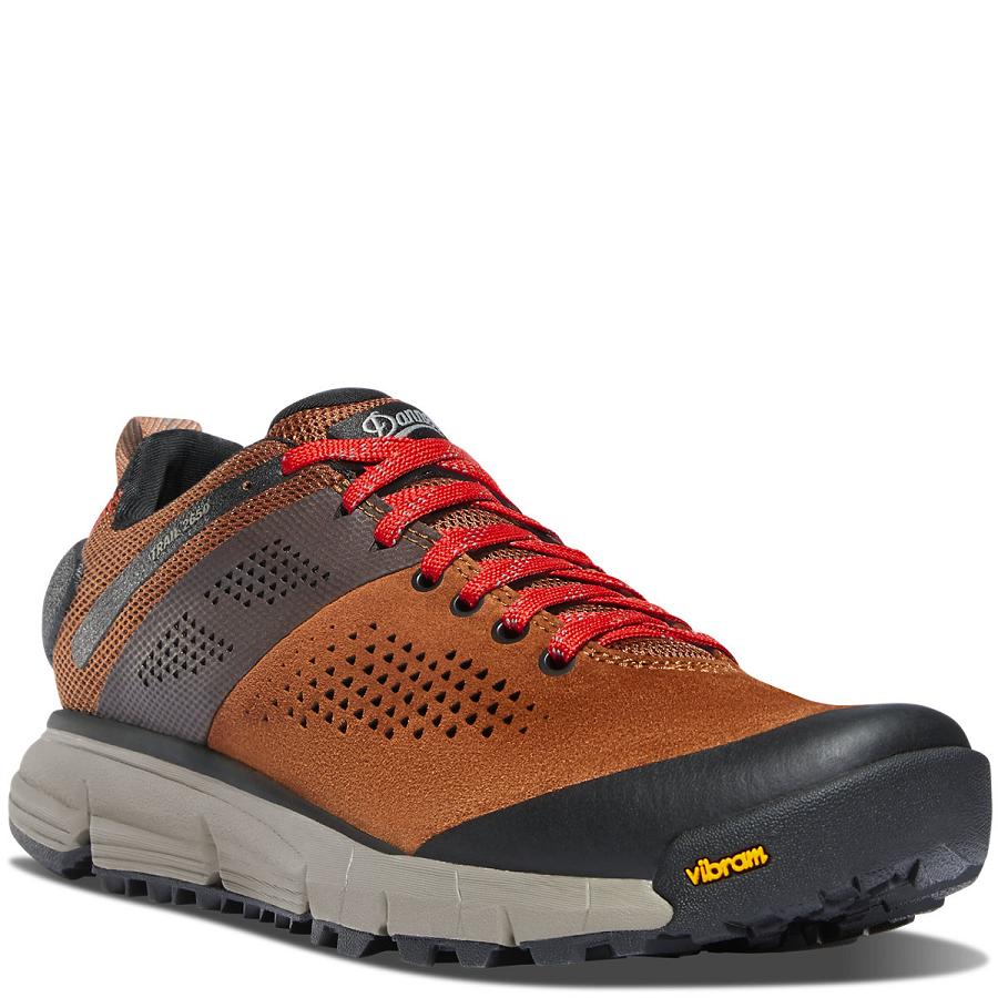 Women's Danner Trail 2650 Hiking Shoes Brown / Red | AU4673DN